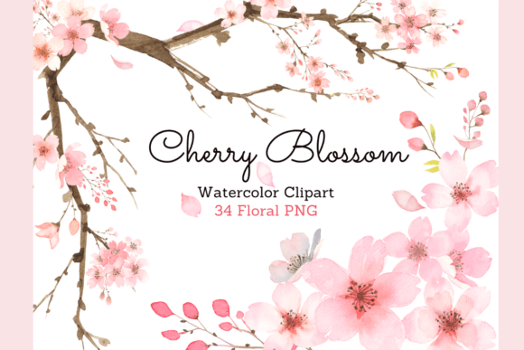 Download Cherry Blossom Watercolor Floral Clipart - Cherry blossom Collection