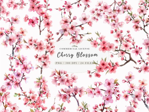 Download Watercolor Cherry Blossom Clipart, - Cherry blossom Collection