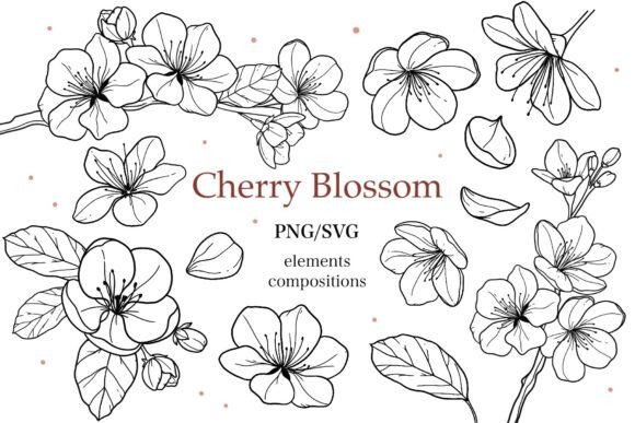 Download Cherry Blossom Clipart SVG PNG - Cherry blossom Collection