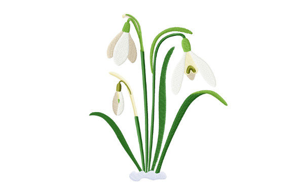 Download Spring Snowdrops - Premium Resources