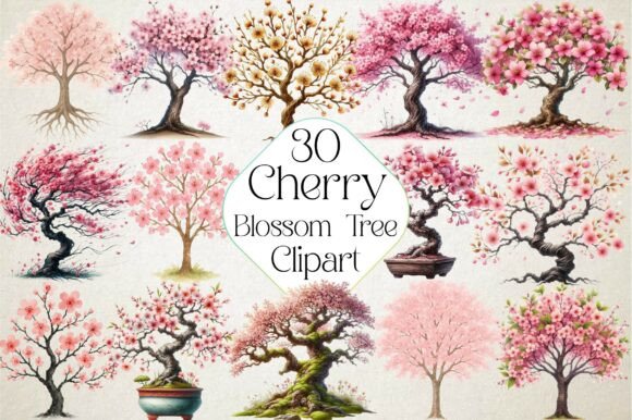 Download Japanese Cherry Blossom Tree - Cherry blossom Collection