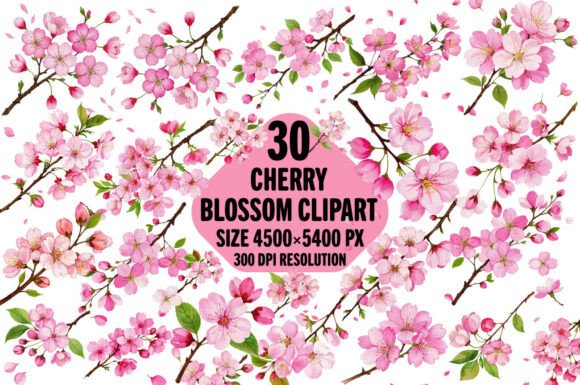 Download Watercolor Cherry Blossom Sakura Clipart - Cherry blossom Collection