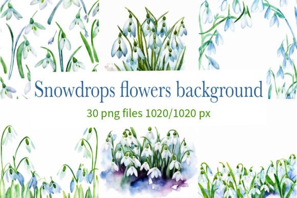 Download Snowdrops Flowers Background - Premium Resources