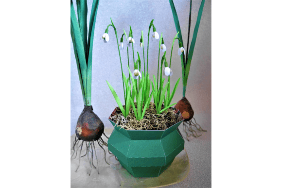 Download Snowdrops - Premium Resources